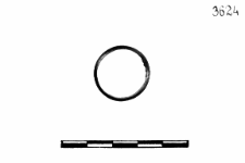 ring (Łupawa) - chemical analysis