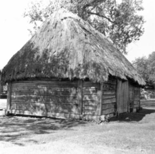 Stodoła sumikowo- łątkowa (stara)