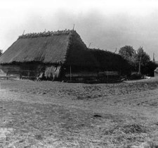 An enclosure for animals, a barn