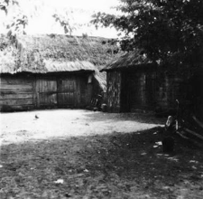 A log barn and a log cowshed