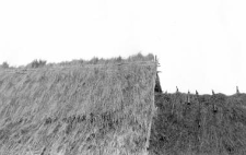 A roof on the barn