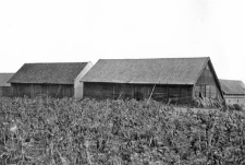 Barns