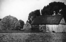 A barn and a cow-shed