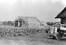 A barn under structure