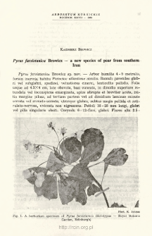 Pyrus farsistanica Browicz - a new species of pear from southern Iran