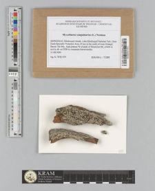 Mycoblastus sanguinarius (L.) Norman