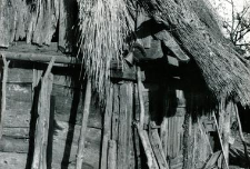 A fragment of a log barn