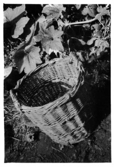 A basket