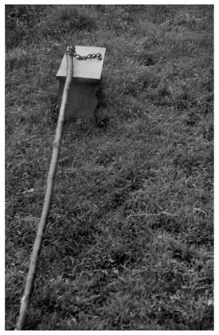 A pole for drawing water from a well