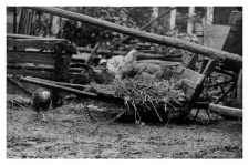 A wheelbarrow