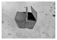 A basket