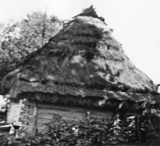 Log cottage