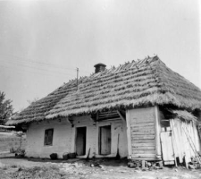 Cottage, stable, henhouse