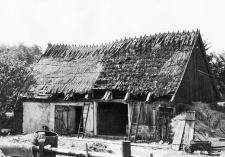 Barn, pigsty