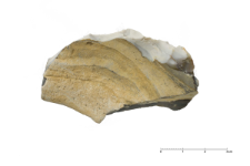 Tabular chert of the Abensberg-Arnhofen type : 2D documentation