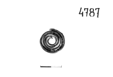 spiral disc (Gorszewice) - chemical analysis