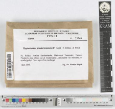 Hyphoderma praetermissum (P. Karst.) J. Erikss. & Strid