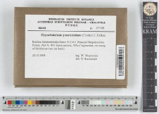 Hypochnicium punctulatum (Cooke) J. Erikss.