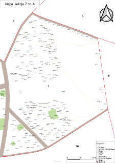 Mapa Arboretum Kórnickiego - sekcja 7