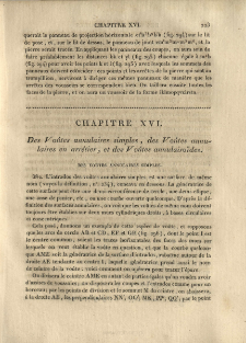 Chapitre XVI. Des Voûtes annulaires simples, des Voûtes annulaires en arrêtier et des Voûtes annulairoïdes.