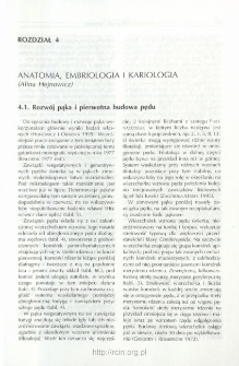 Anatomia, embriologia i kariologia