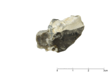 Cretaceous flint : 2D documentation