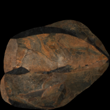 Cretaceous flint from Rijckholt-St.Geertruid mine : 3D documentation