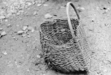 Potato basket