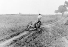 Two-wheeled handcart