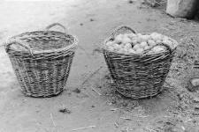 Baskets