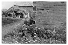 Log construction of a residential building