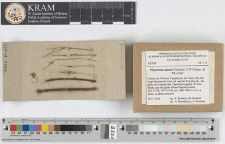 Physarum alpestre Mitchel, S.W.Chapm. & M.L.Farr