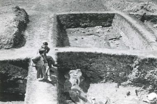 Research trenches with profile witnesses during excavations, view from above