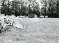 Field works on heaps