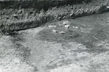 Trench west of the collegiate church, view on the burrow 7/58 nad building 2/58