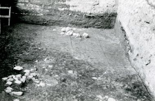 Trench west of the collegiate church, burrow 7/58 and building 2/58