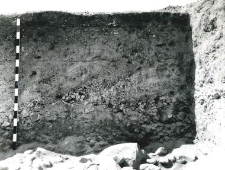 Trench inside the collegiate church, stone foundations and the western profile of the trench