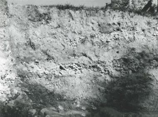 Profile of the trench inside the collegiate church