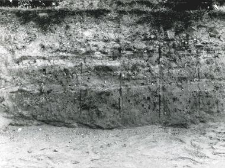 Fragment of the trench profile inside the collegiate church