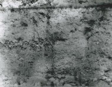 Fragment of the trench profile inside the collegiate church