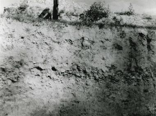 Fragment of the trench profile inside the collegiate church