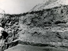 Corner of the trench inside the collegiate church, profiles