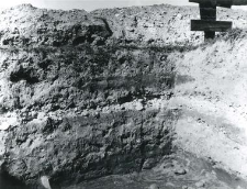 Corner of the trench inside the collegiate church, fragments of profiles