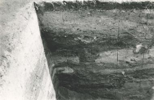Narożnik głębokiego wykopu na zewnątrz kolegiaty (od południa), fragmenty profili archeologicznych
