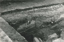 Deep trench outside the collegiate church (from the south), fragment of the profile