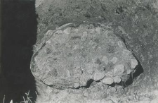 Deep trench outside the collegiate church (from the south), view from the east (?) On the hearth no 2