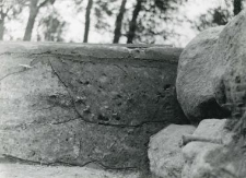 Fragment wschodniego profilu wykopu z przylegającymi kamieniami ławy fundamentowej południowego muru kolegiaty św. Pawła