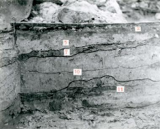 Eastern profile of the trench fragment, northern part