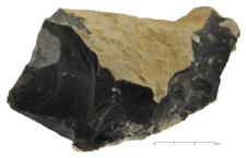 Cretaceous flint from Rijckholt-St.Geertruid mine : 2D documentation