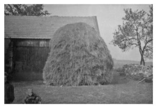 Haystack